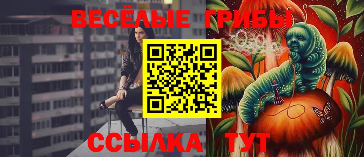 Галлюциногенные грибы прущие грибы  дарнет шоп  Сердобск  Вход с VPN 